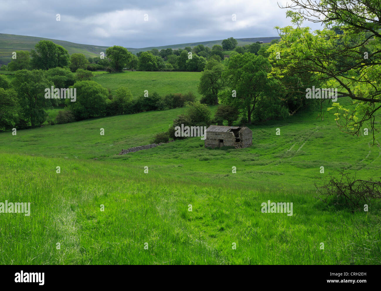 Derelict stone barn in Bishopdale, Yorkshire Dales National Park. Stock Photo