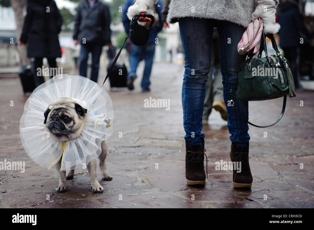 Valencia Dress, Dogs on Scooters Blue main image 0