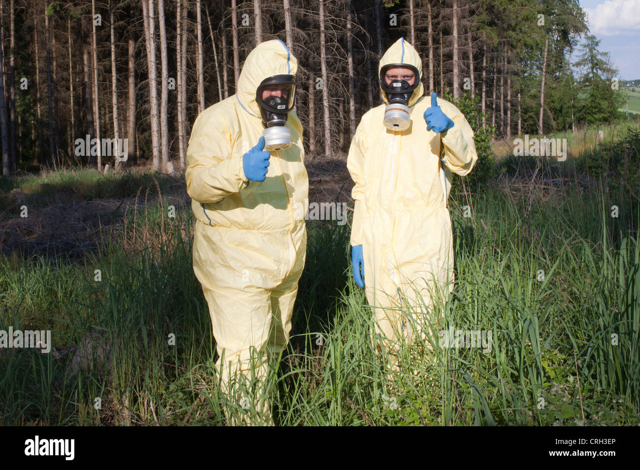 experts checking the forest for chemicals Stock Photo - Alamy