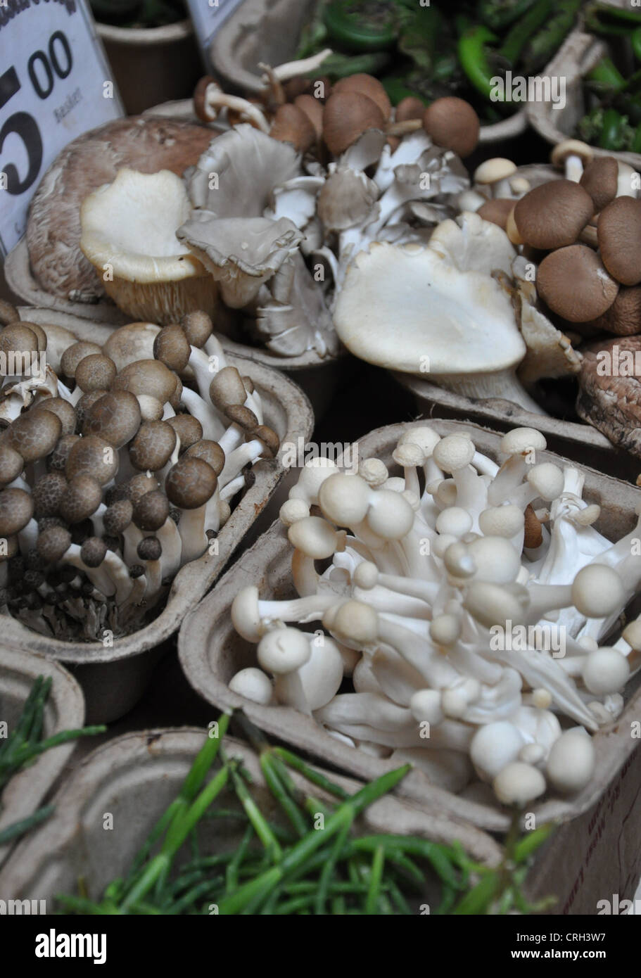 Mushrooms San Francisco Stock Photo Alamy
