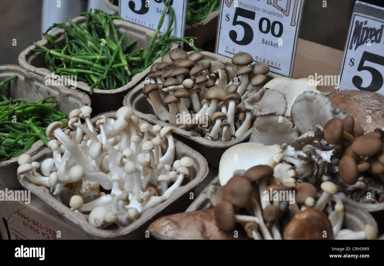 Mushrooms San Francisco Stock Photo Alamy