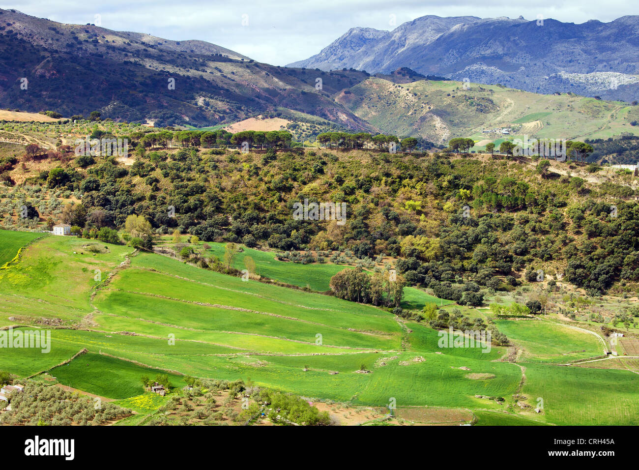 Andalusia countryside scenic landscape in southern Spain. Stock Photo