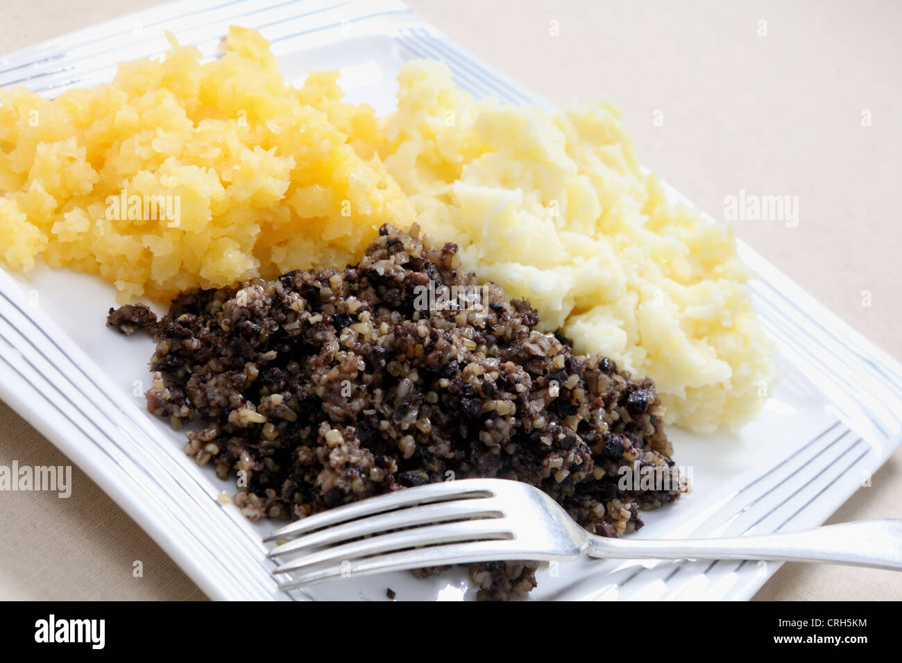 A traditional Scottish haggis meal, often served on Burns' Night, with mashed potatoes and swede aka 'tatties and neeps'. Stock Photo