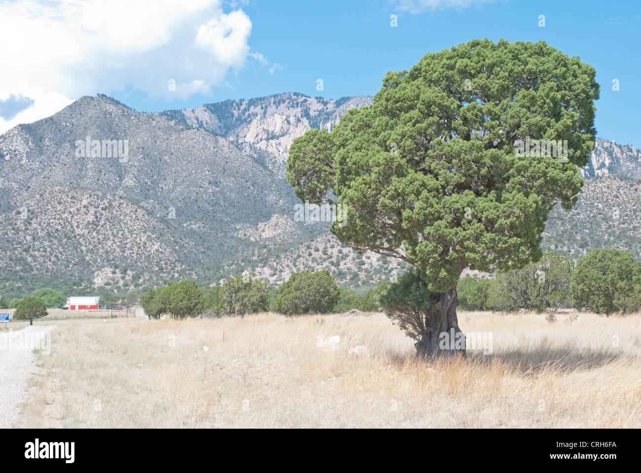 Lavender Spring Ranch is famous for it's raspberries and lavender. Stock Photo