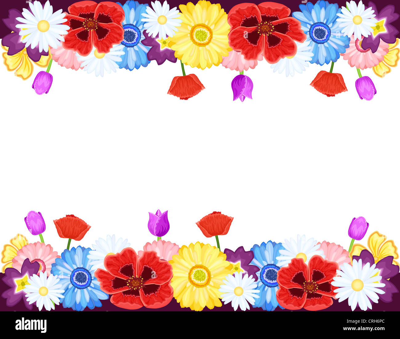 Beautiful flowers borders - spring and summer. Isolated over white  background with room for your text. V Stock Photo - Alamy