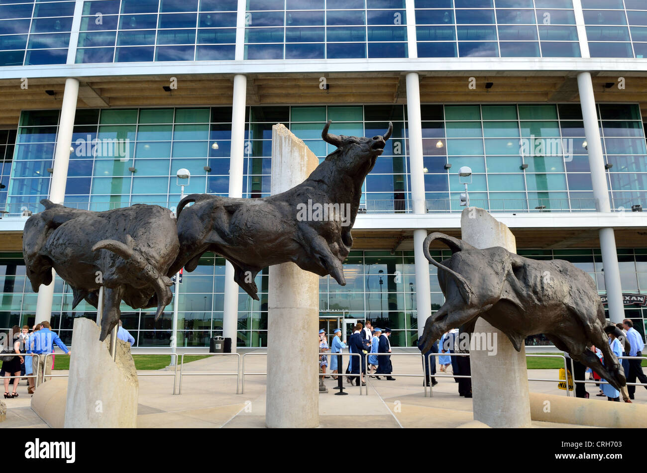 Bronze sculpture of raging bulls in front of Reliant Stadium. Houston Texas, USA. Stock Photo