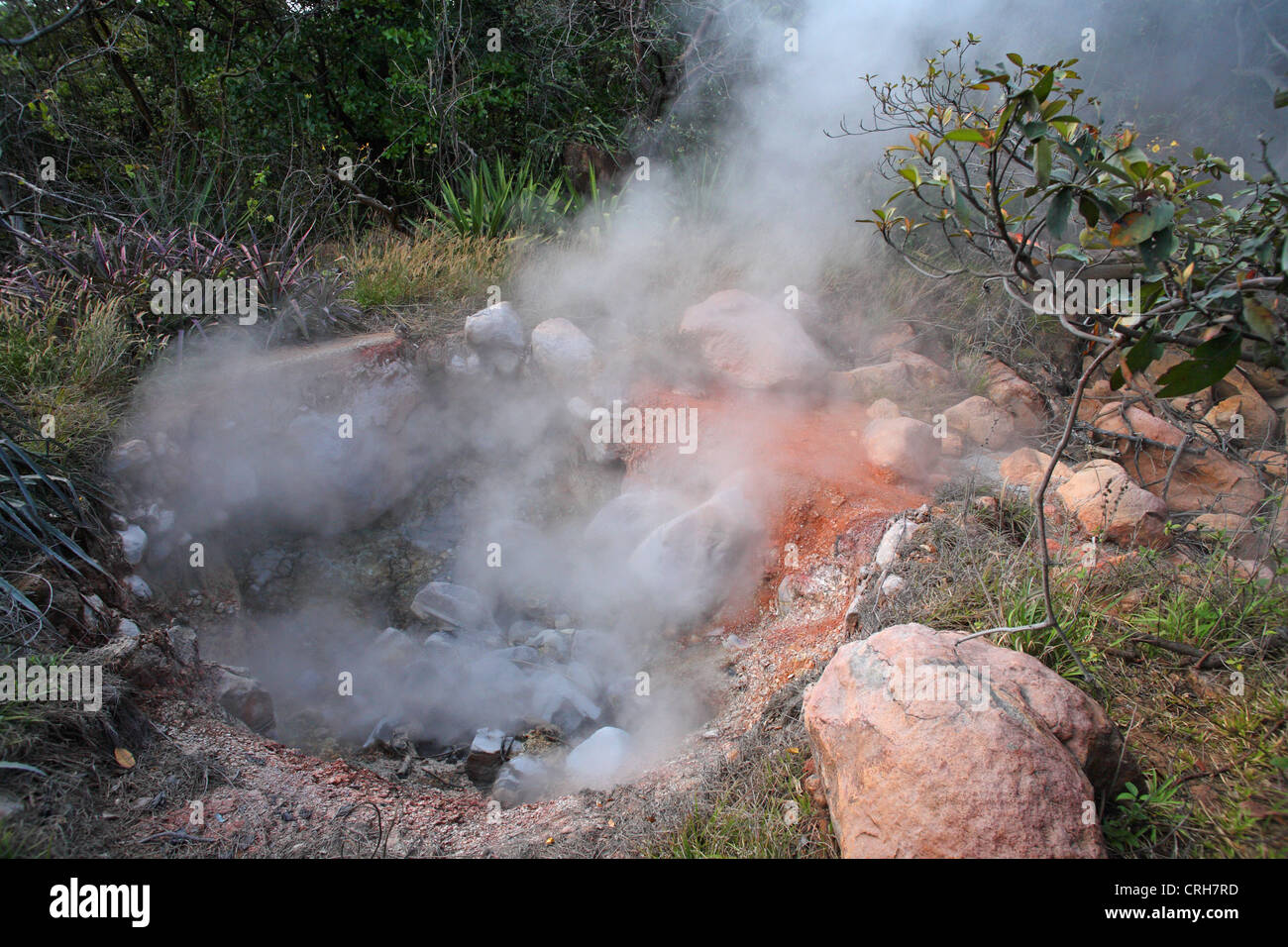 Volcanic fumarole in rainforest. Las Pailas trail, Rincon de la Vieja National Park, Guanacaste, Costa Rica. February 2012. Stock Photo