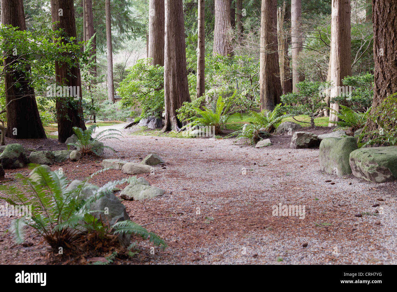 A Path Leading To The Traditional Japanese Nitobe Memorial Garden
