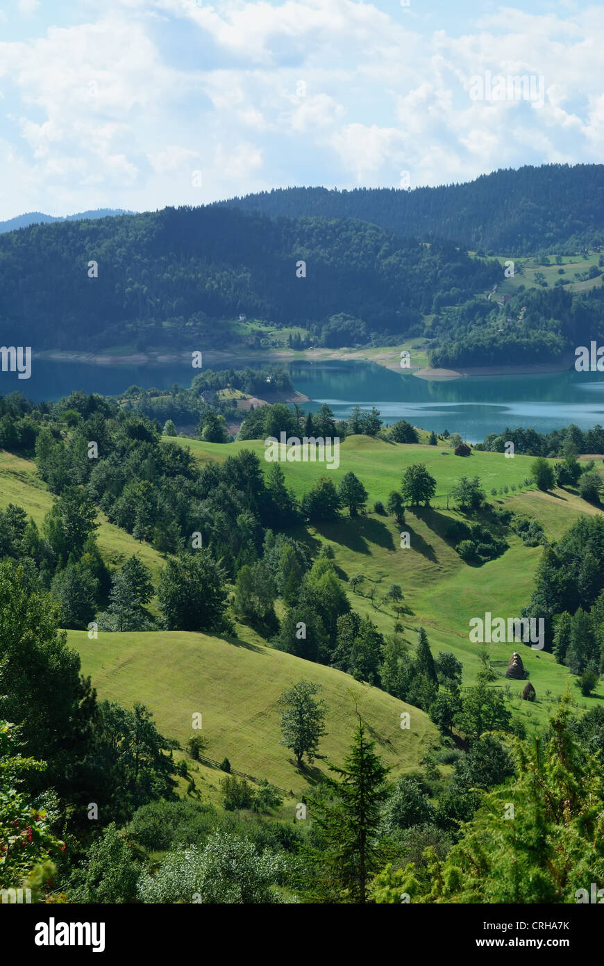 Mountain landscape with green fields and lake behind Stock Photo - Alamy