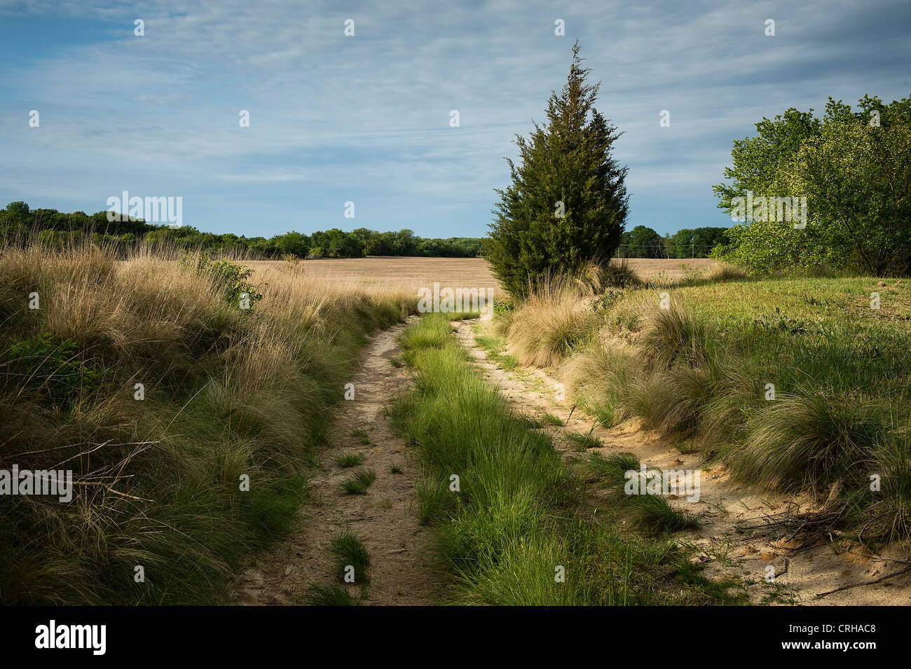Unpaved country road. Stock Photo
