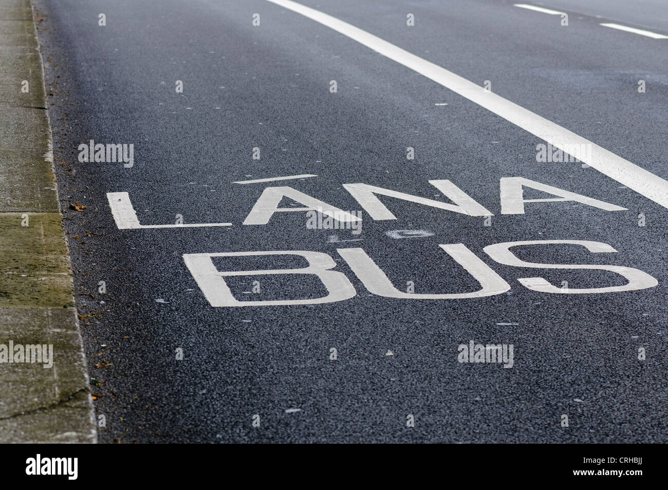 Bus lane on a road in Dublin Stock Photo
