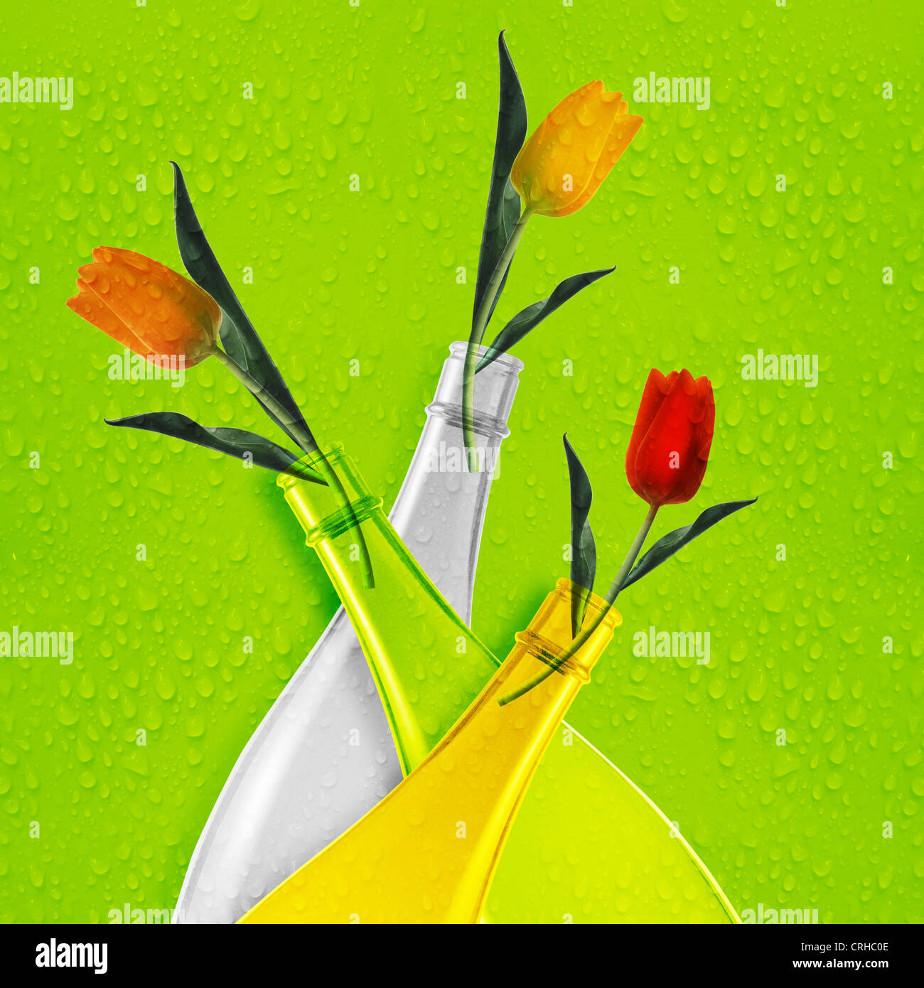 Three colored empty glass bottles and tulips Stock Photo - Alamy