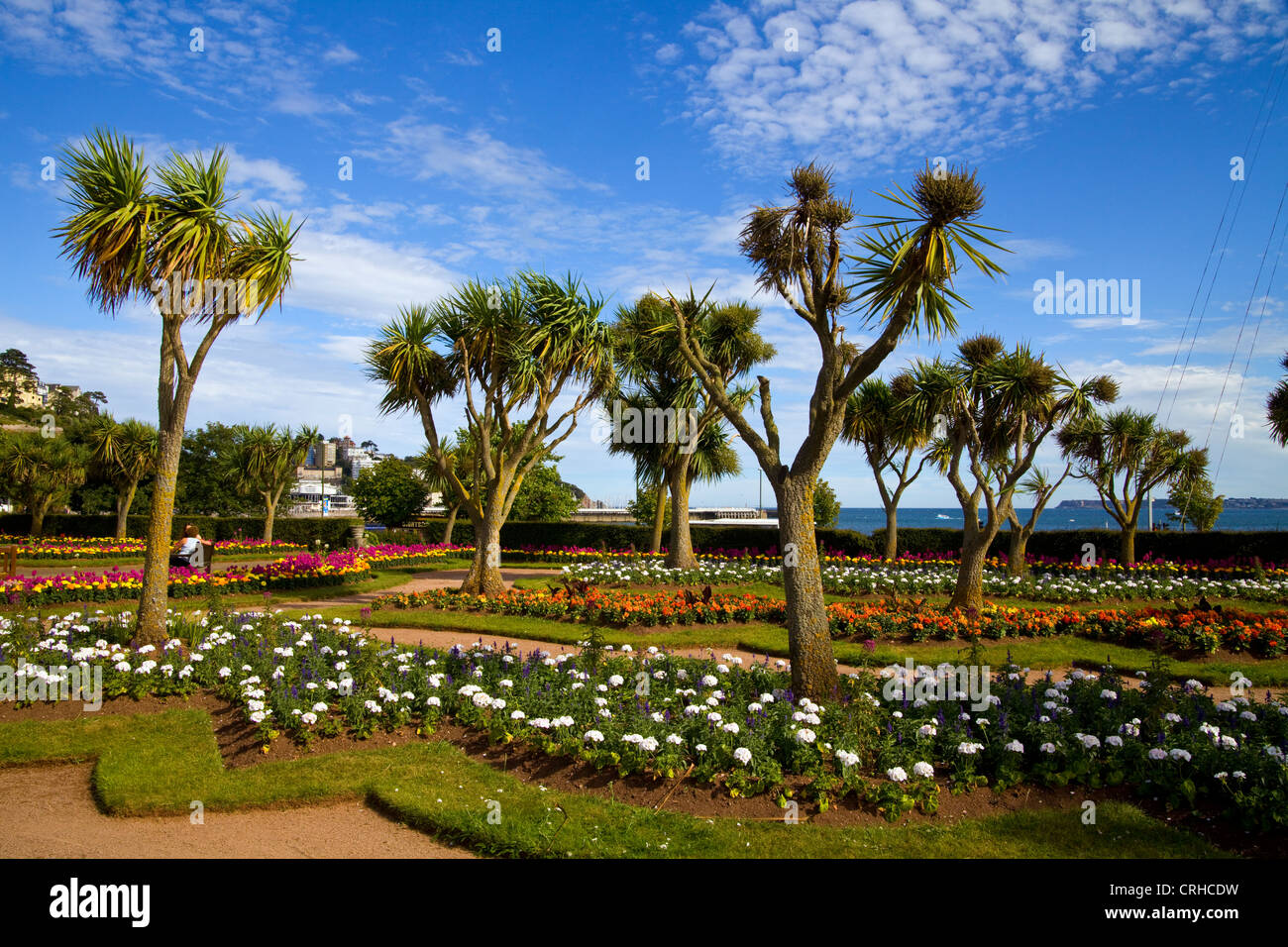 Palm Trees in Abbey Gardens in Torquay, England Stock Photo Alamy