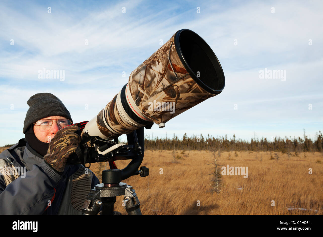 A wildlife nature photographer watching for birds. Stock Photo