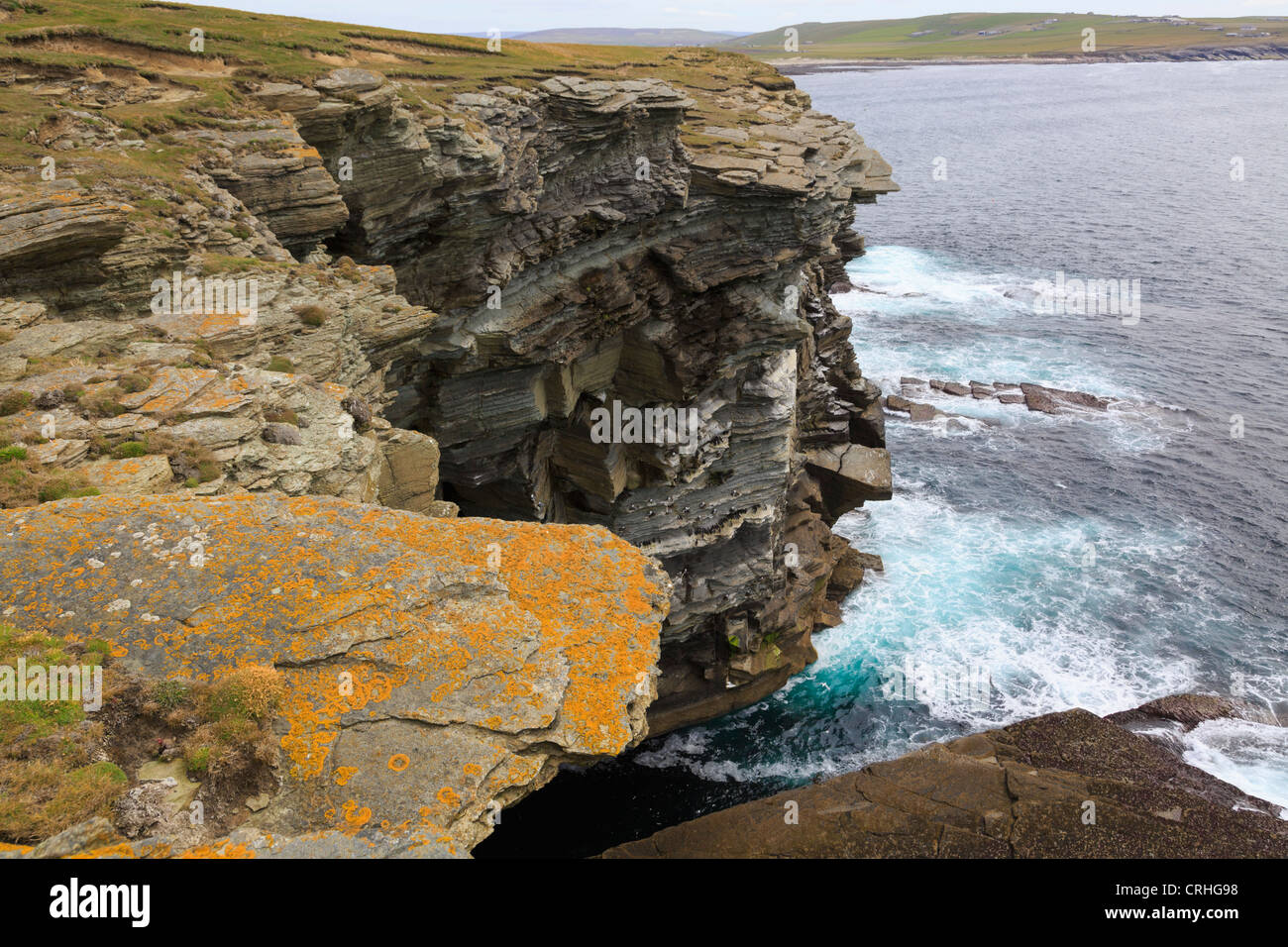 Rugged coastline seacliffs with seabirds nesting on ledges on Brough of Birsay Orkney Islands Scotland UK Britain Stock Photo