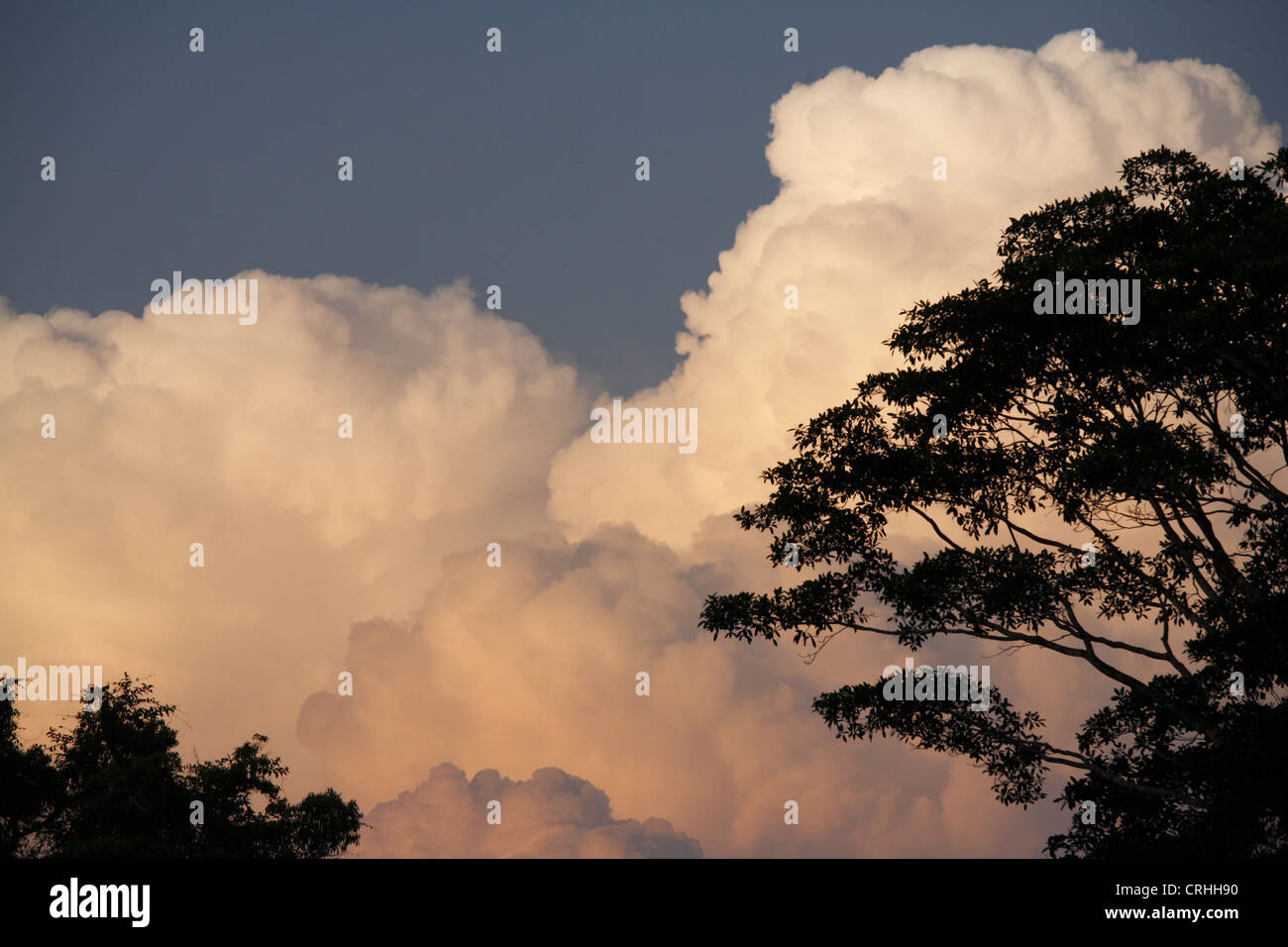 Clouds and rainforest. Corcovado National Park, Osa Peninsula, Costa Rica. March 2012. Stock Photo