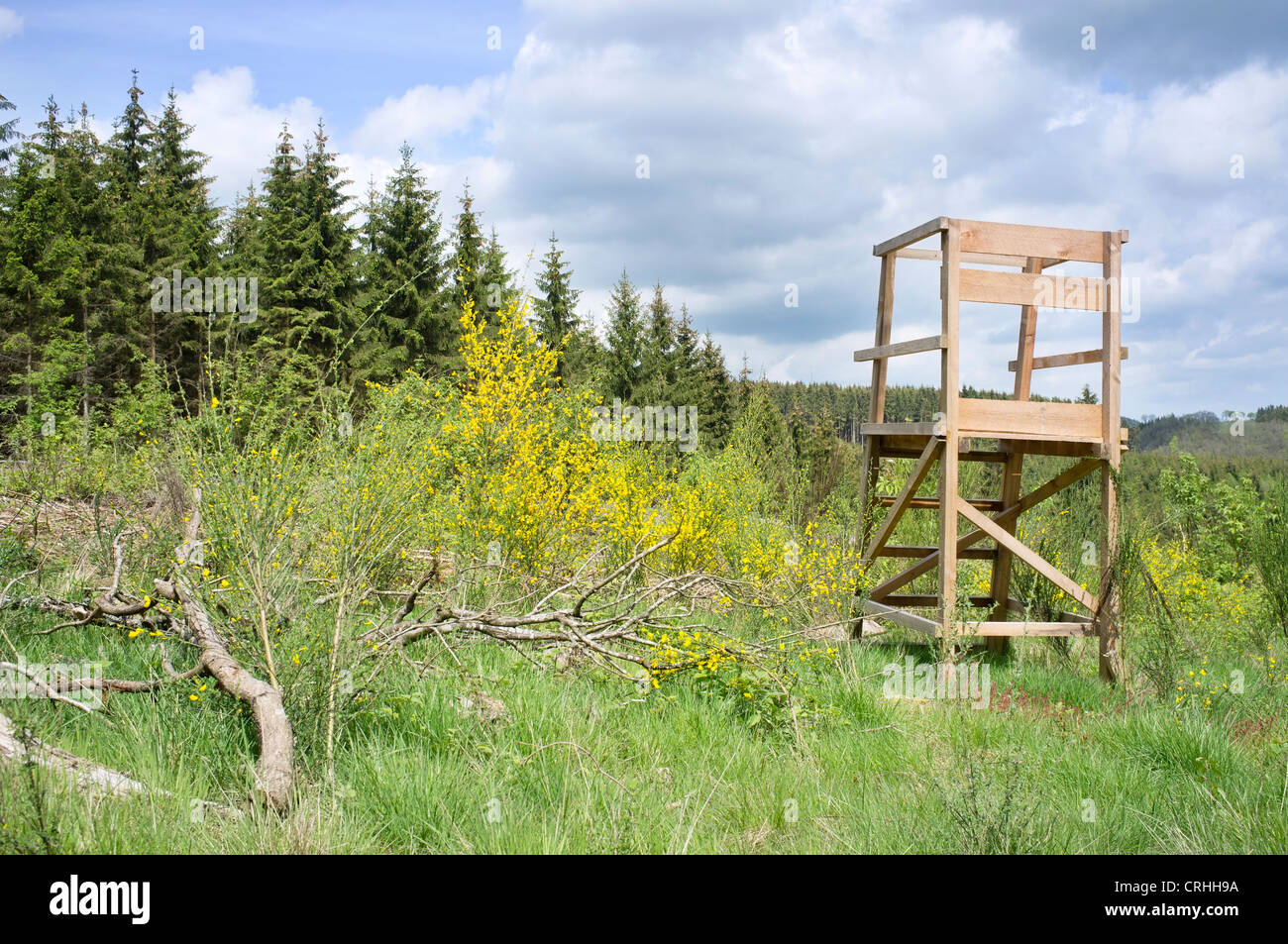 Countryside landscape with a wooden high chair, used for hunting Stock Photo