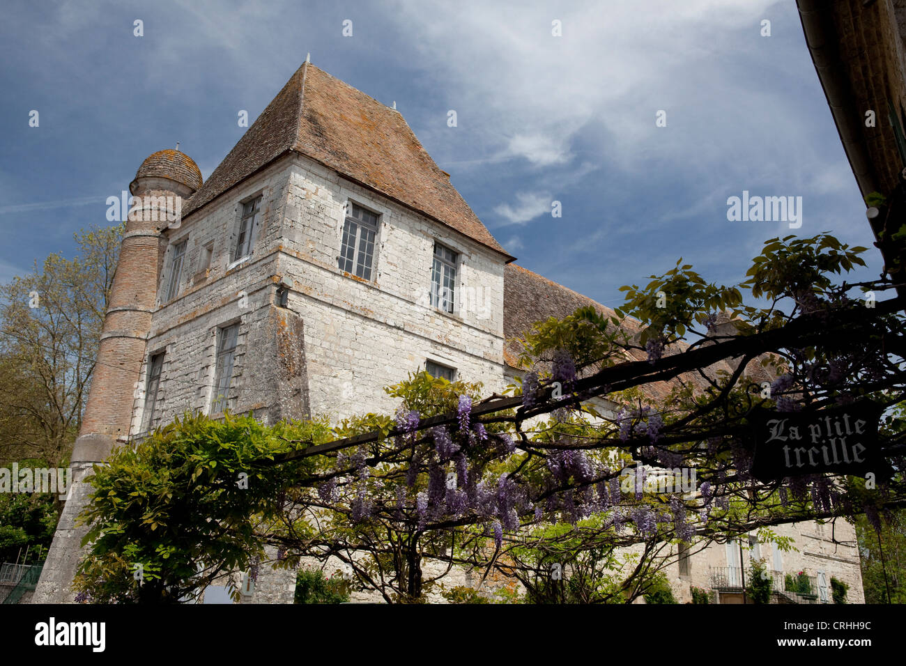 Wisteria outside a cafe in medieval Issigeac Perigord Southwest France Stock Photo
