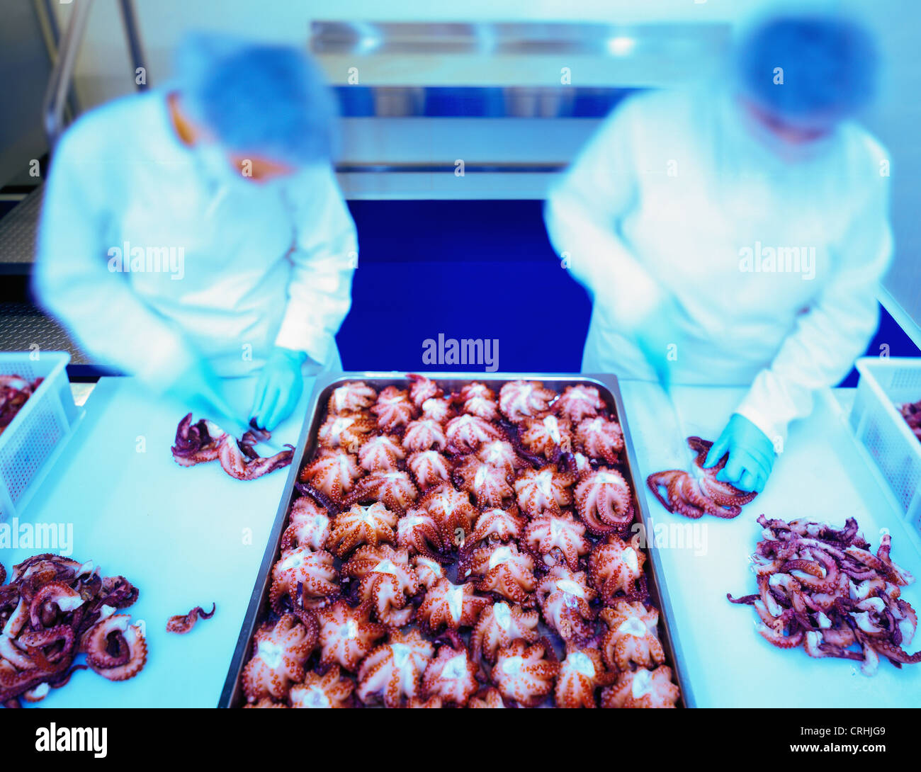 Workers in seafood processing plant Stock Photo
