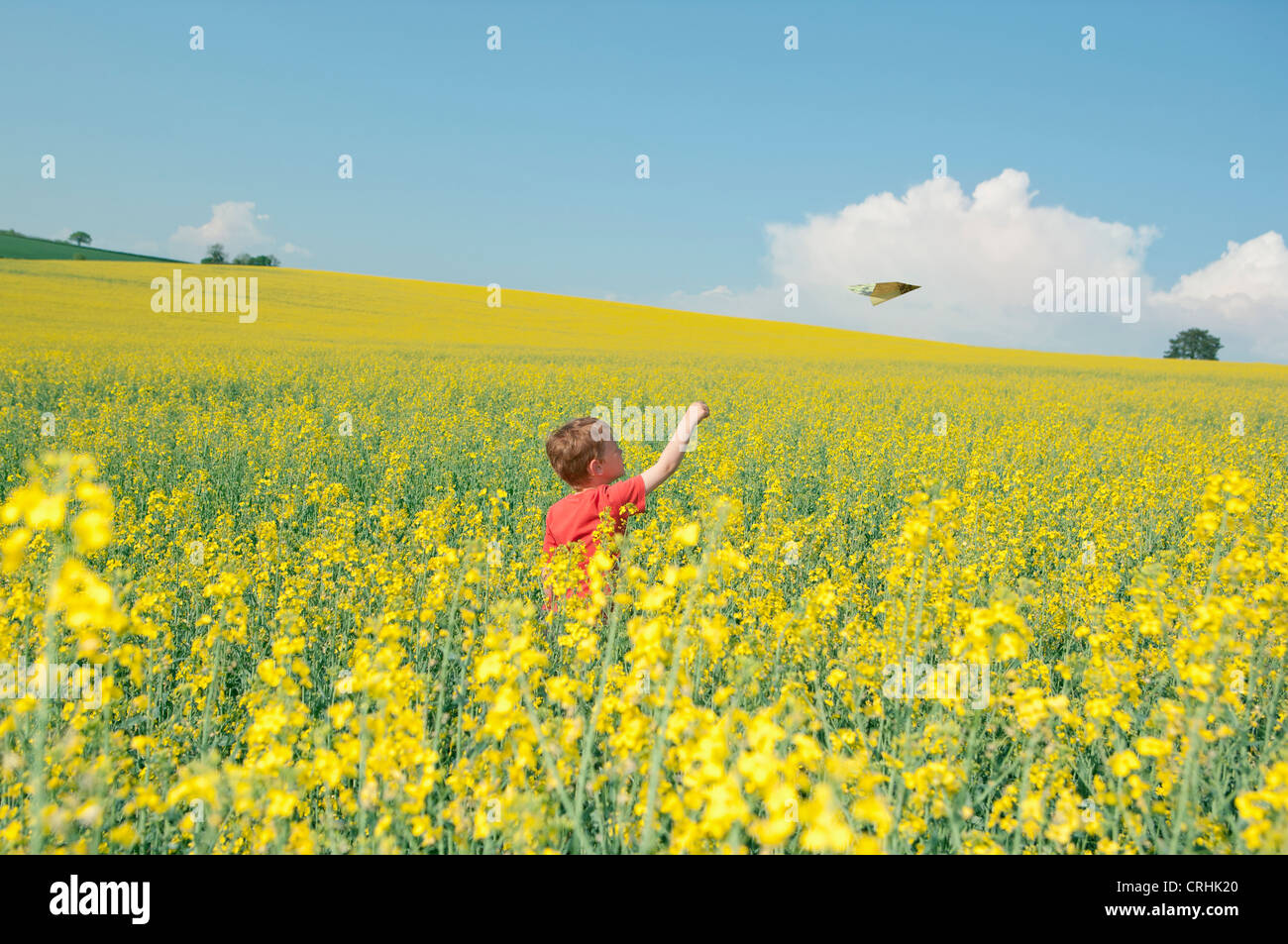 Boy playing with paper airplane in field Stock Photo - Alamy