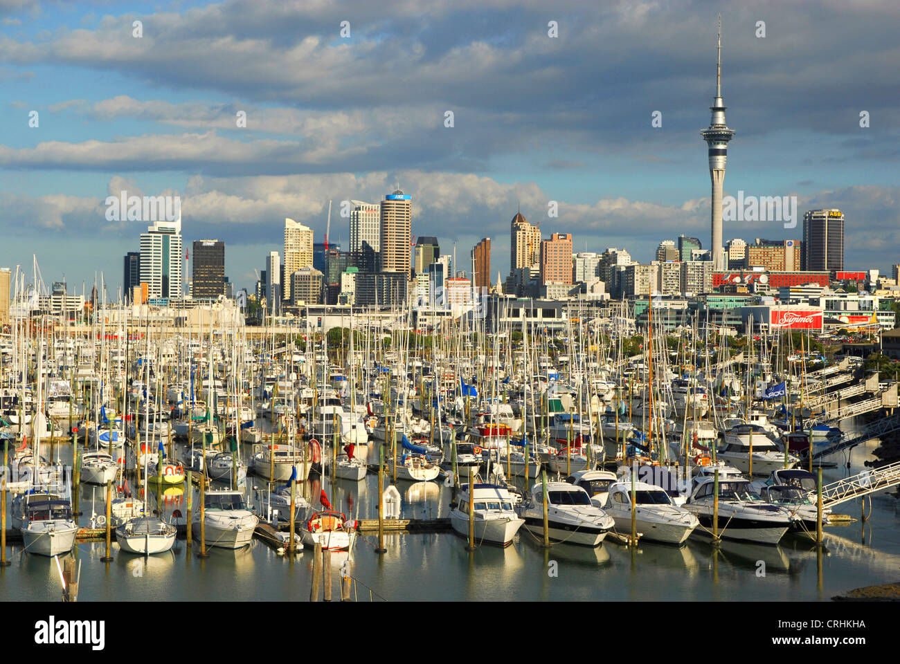sailing boats in Port of Auckland, New Zealand, Auckland 