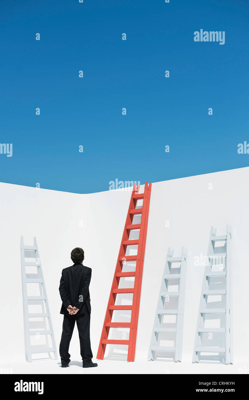 Businessman contemplating ladders, rear view Stock Photo