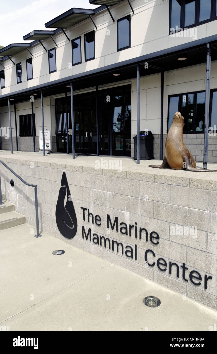The Marine Mammal Center, California, USA. Stock Photo