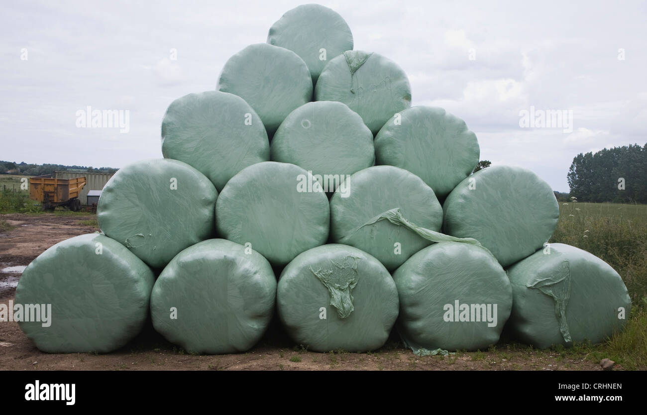 Pile round green silage bags in farmyard Norfolk England Stock Photo