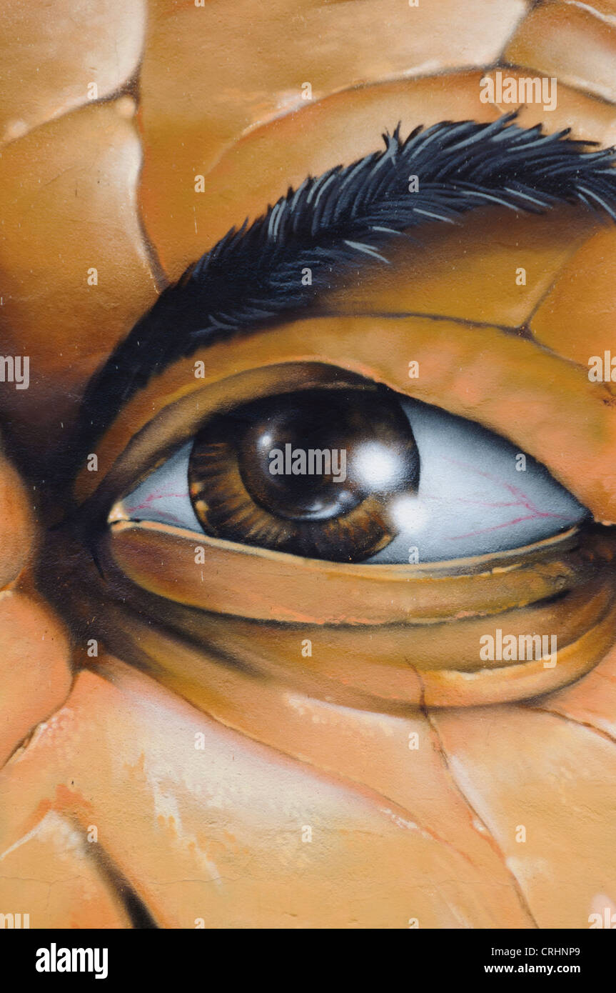 Street Art Graffiti Eye Eyebrow Gimlet Eyed Male Face Detail