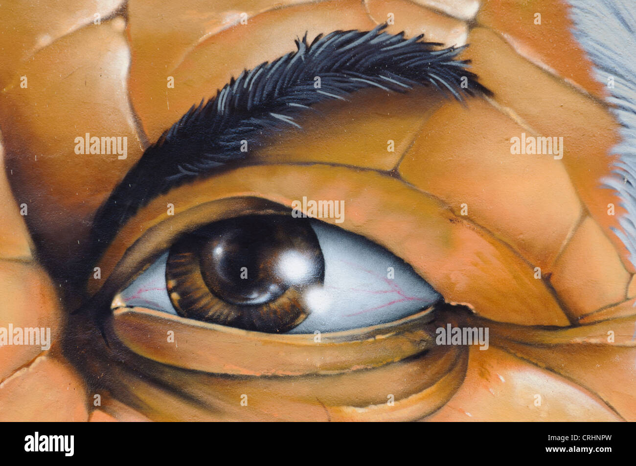 Street Art Graffiti Eye Eyebrow Male Face Detail Gimlet Eyed