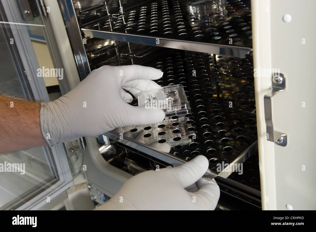 fertility clinic sample in vitro fertilisation lab egg ivf doctor