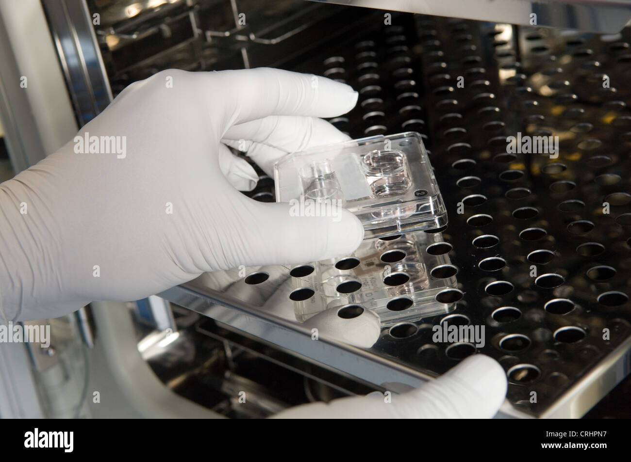 fertility clinic sample in vitro fertilisation lab egg ivf doctor