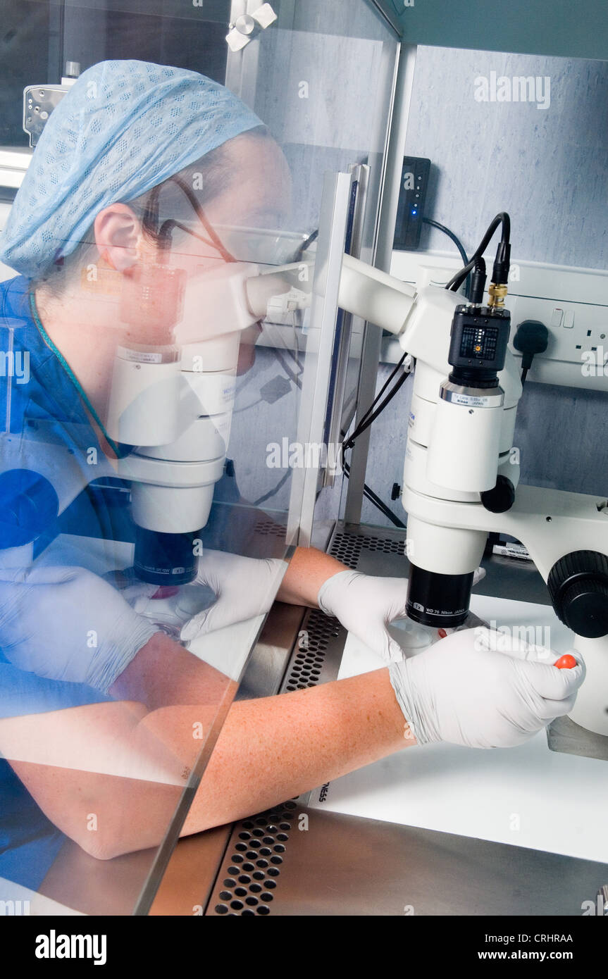 Egg incubation hires stock photography and images Alamy