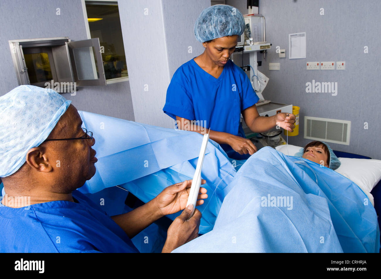 eggs donated donor surgery IVF collection Stock Photo Alamy