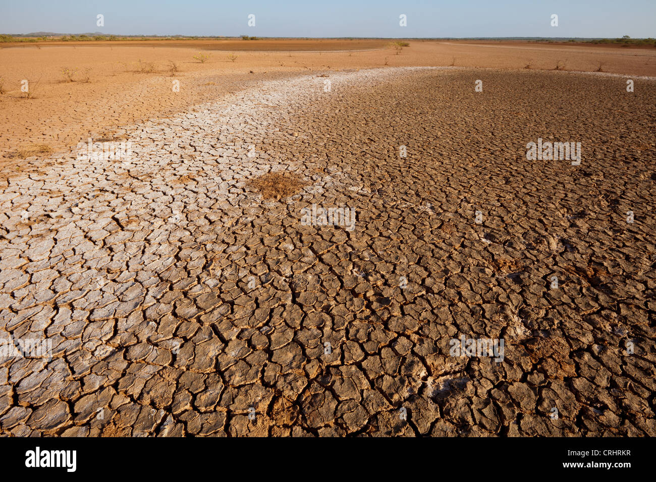 Cracked soil in Sarigua national park (desert), in Herrera province, Republic of Panama. Stock Photo