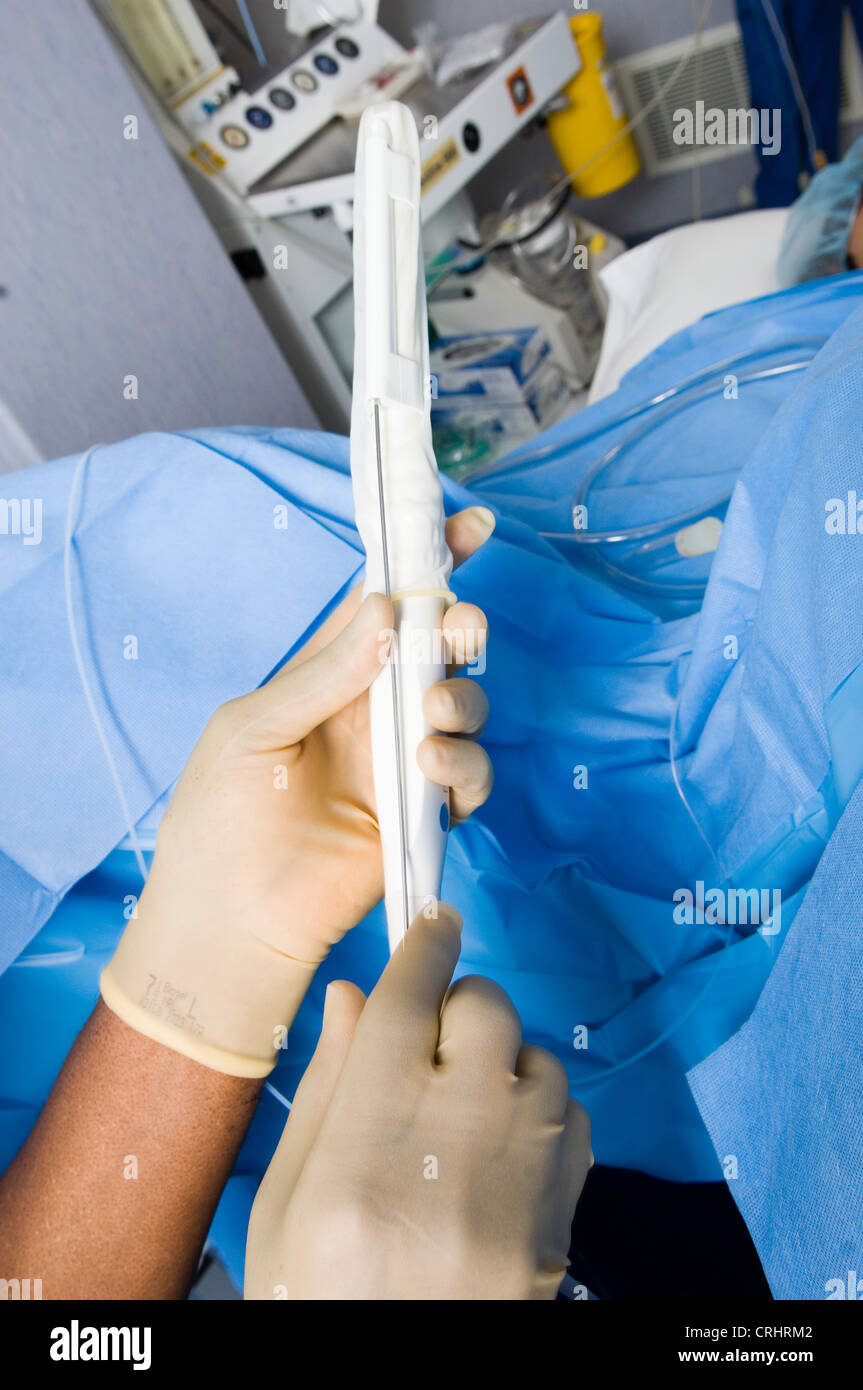 eggs donated donor surgery IVF collection Stock Photo Alamy