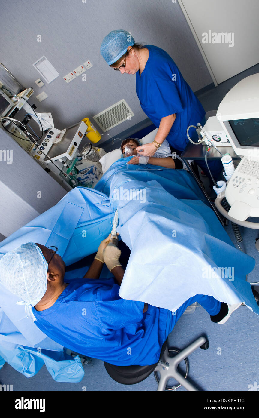 eggs donated donor surgery IVF collection Stock Photo Alamy