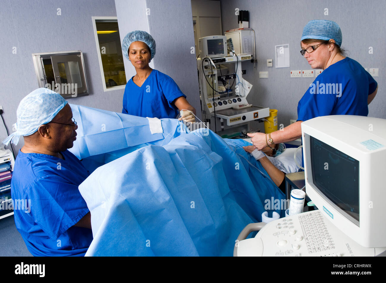 eggs donated donor surgery IVF collection Stock Photo Alamy