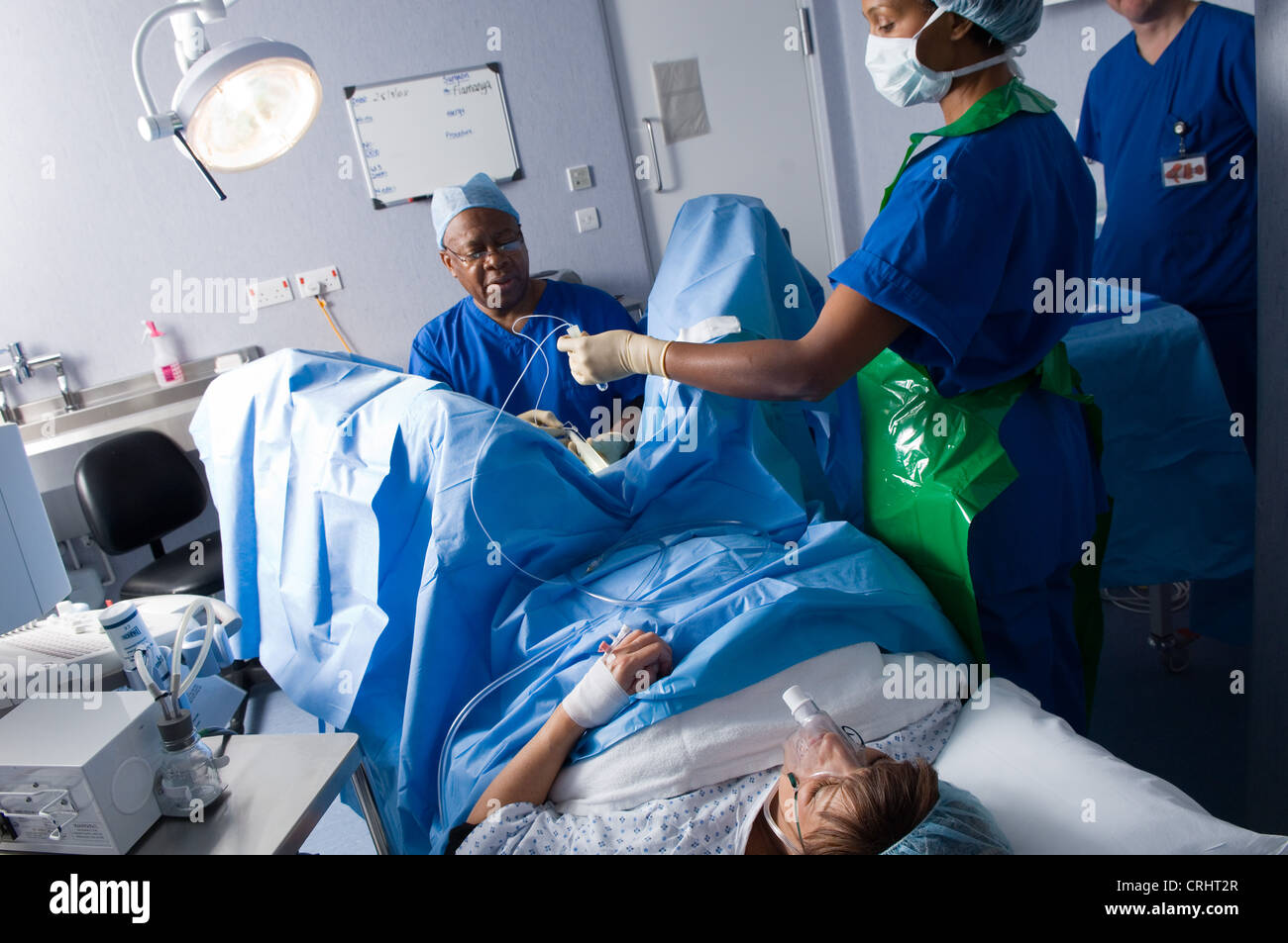 ivf collected eggs 9 Treatment Stock Egg Photos Being Ivf Being & Collected Egg