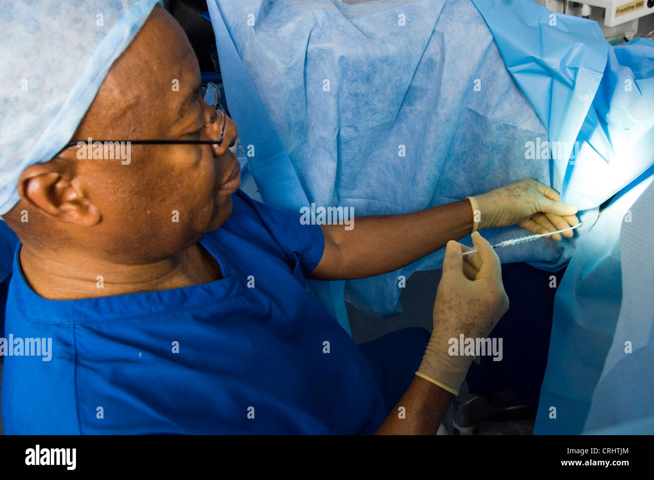 Eggs being collected for donation for IVF treatment Stock Photo Alamy