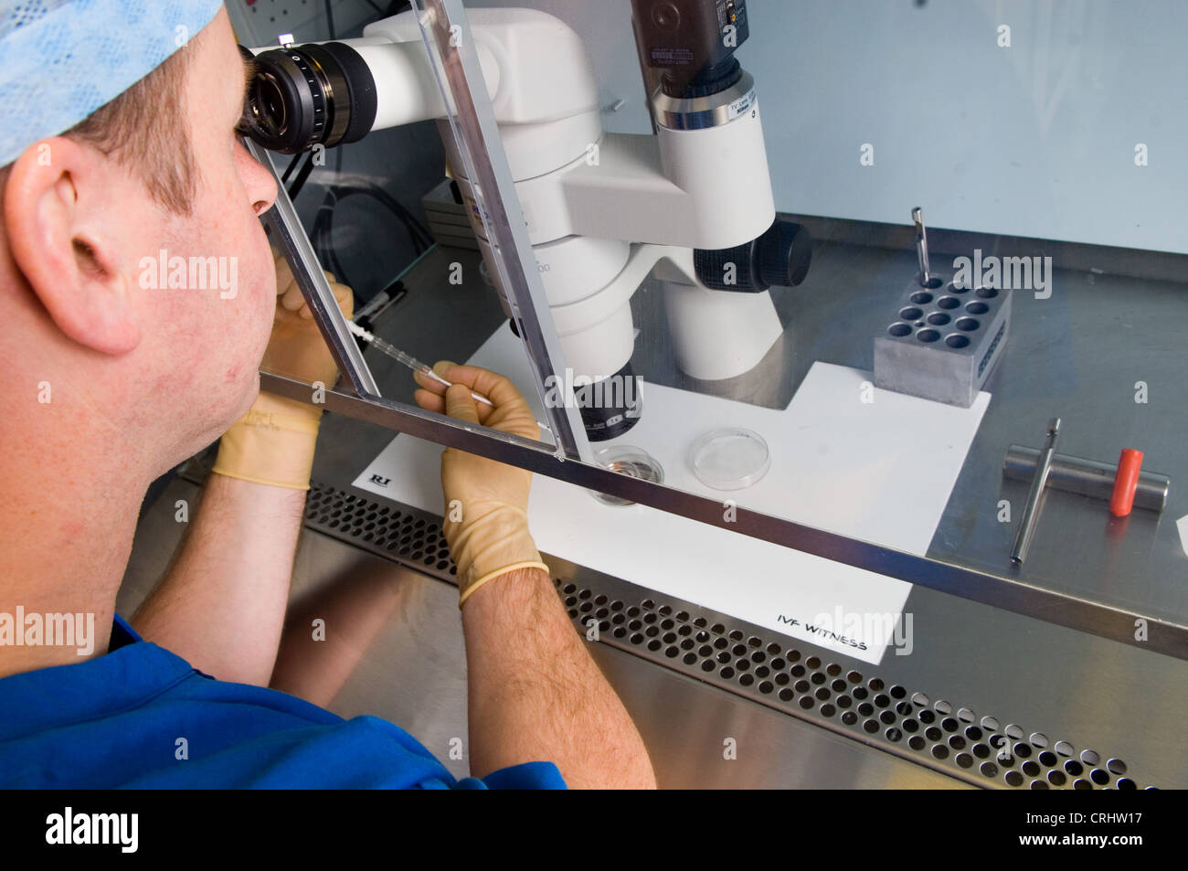 Egg incubation hires stock photography and images Alamy