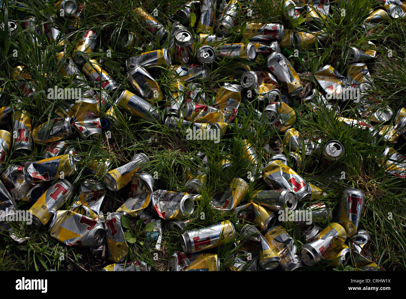 empty tennents lager cans scotland grass Stock Photo - Alamy