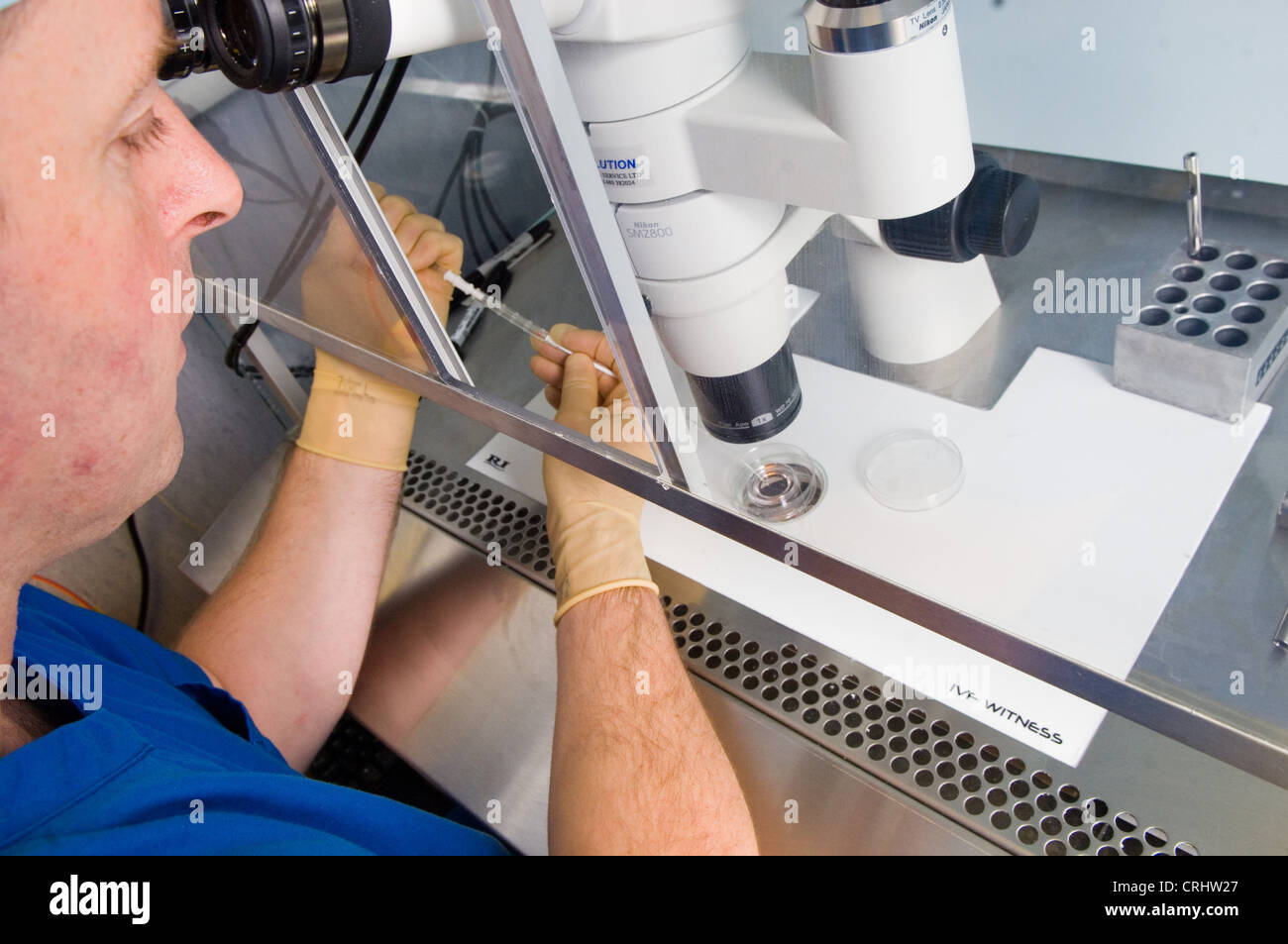 Egg incubation hires stock photography and images Alamy