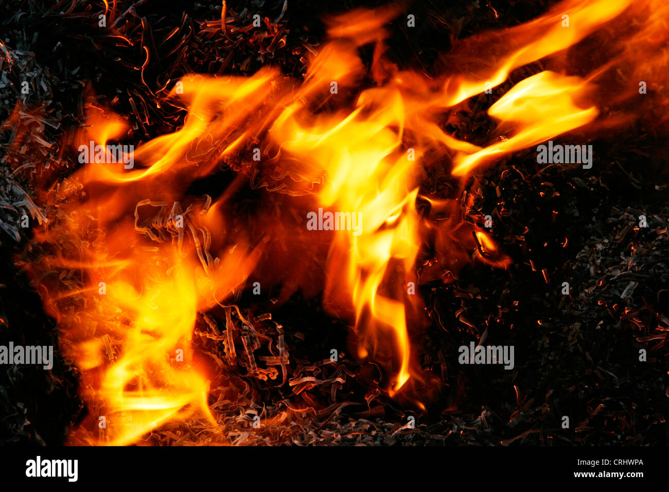 Shredded papers burning Stock Photo