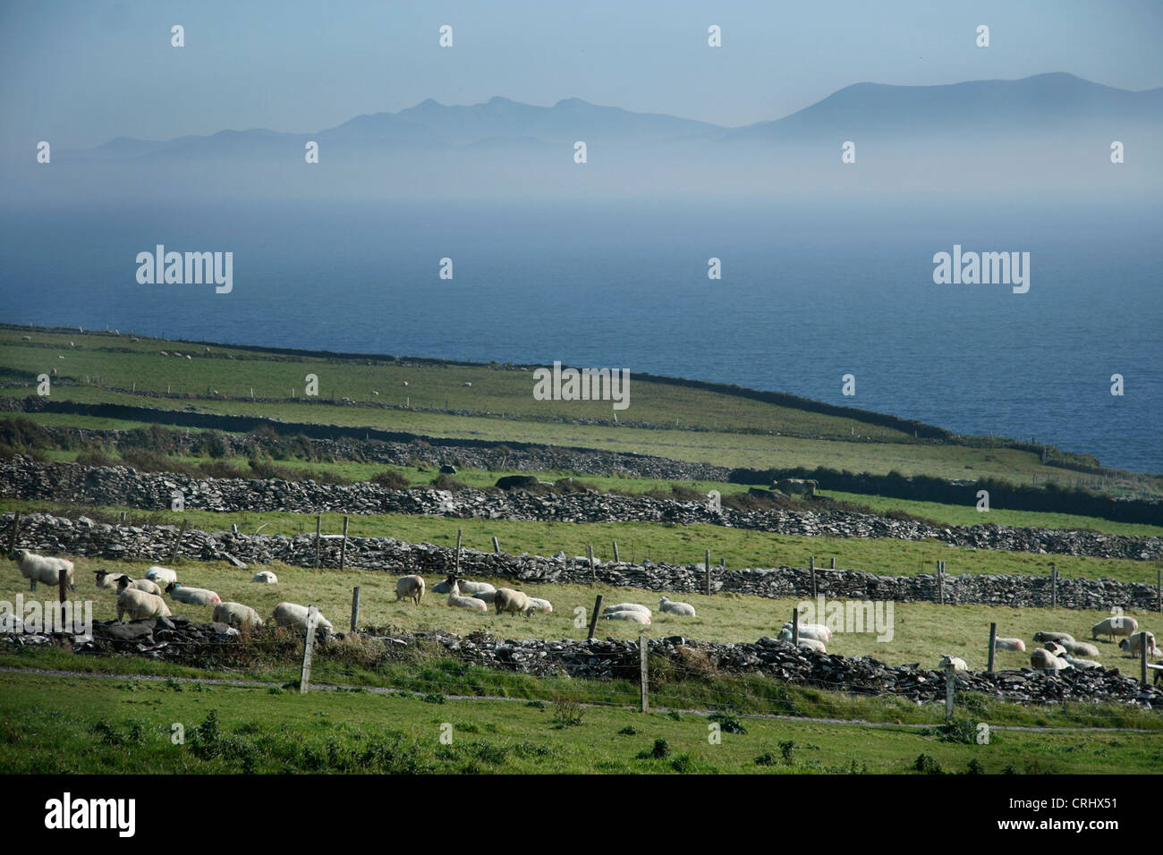 A view of the Iveragh Peninsula from Dingle, Co. Kerry, Ireland. Stock Photo