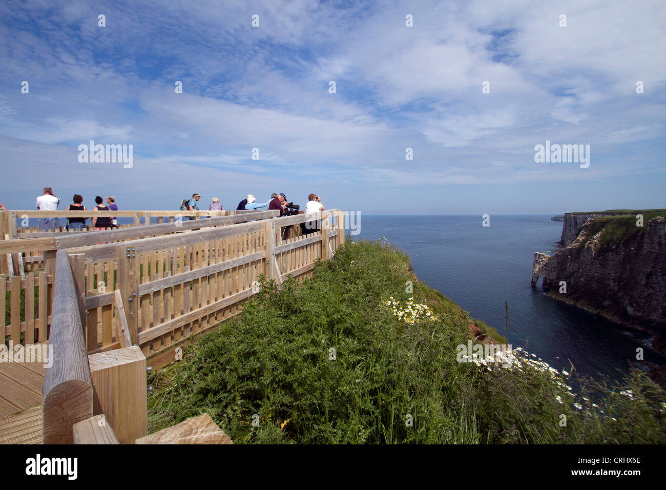 Bird watchers on viewing platforms at Bempton Cliffs, Yorkshire. Stock Photo