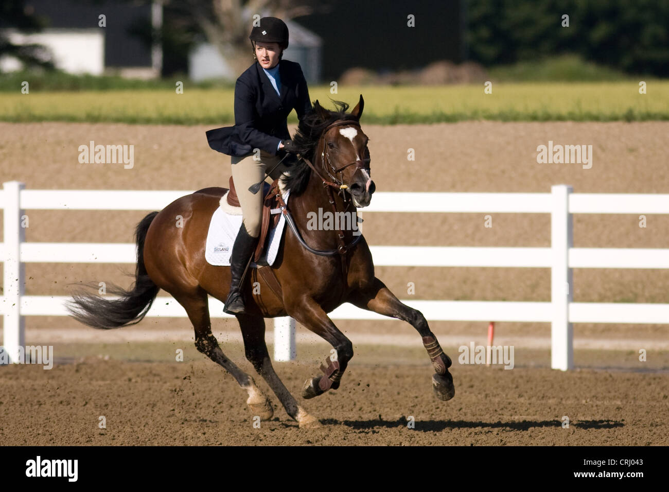 English horse rider hi-res stock photography and images - Alamy
