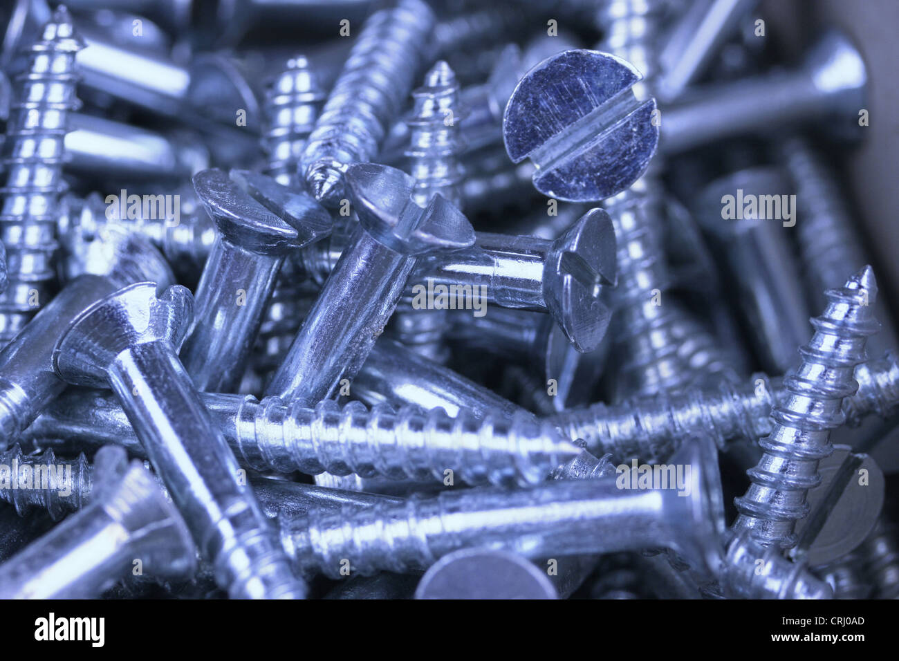 день шурупа. шуруп и отвертка. с праздником шурупы. шуруп под лупой. день шурупа.