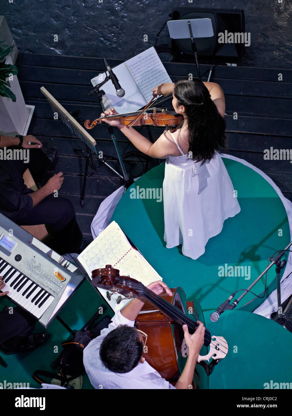 Classical violinist. Overhead view of a female classical violinist