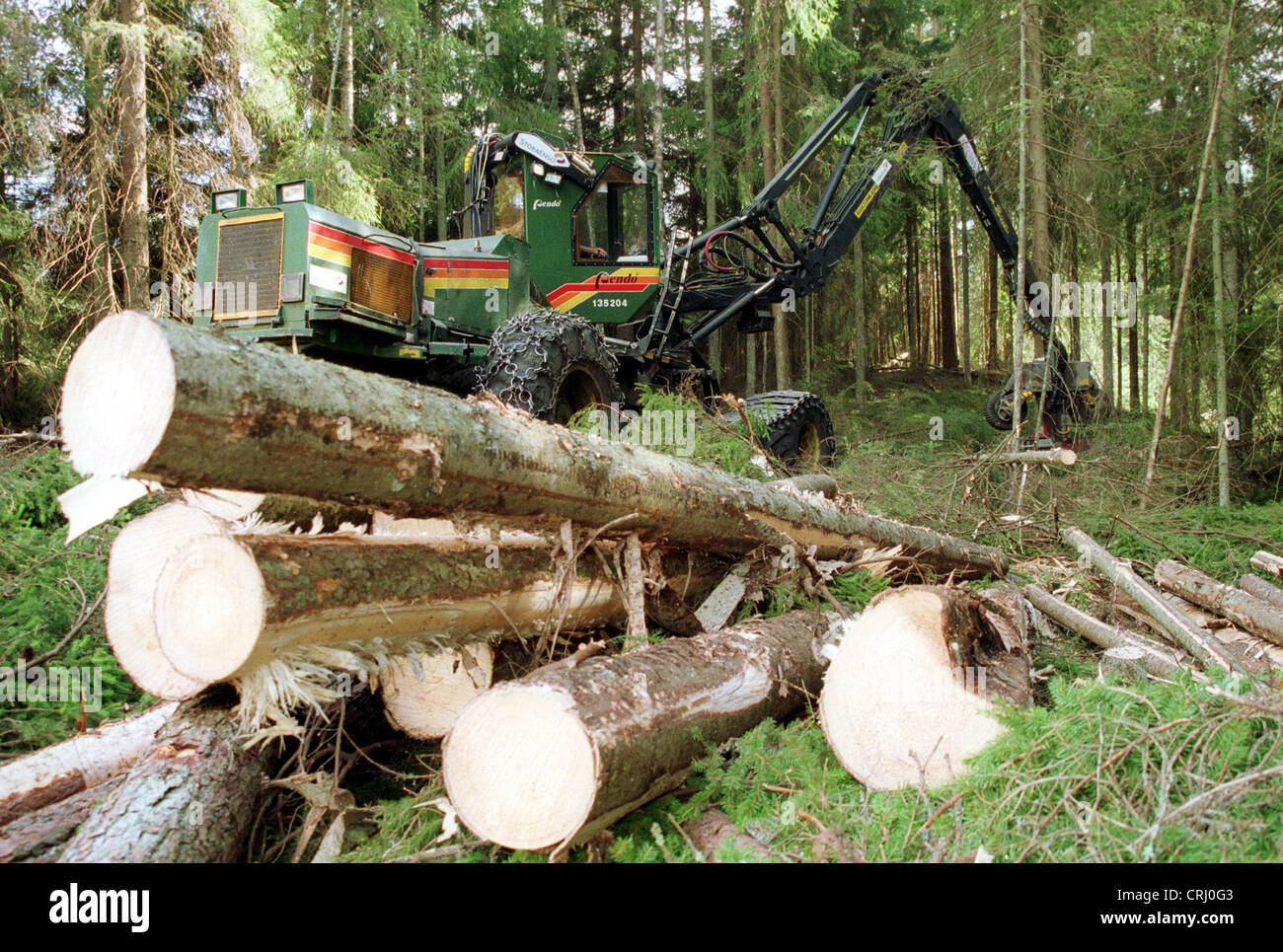 Deforestation of the forest in Sweden Stock Photo